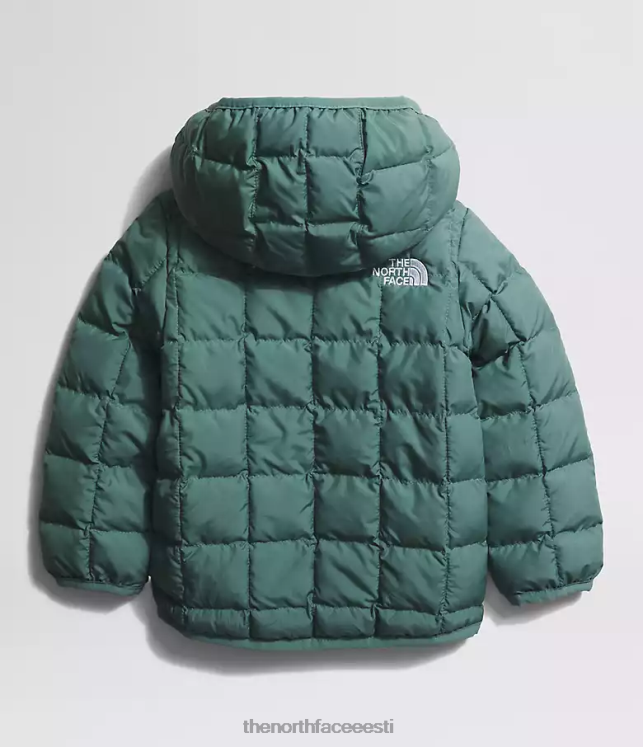 beebi ümberpööratav termokuuli kapuutsiga jope The North Face VJRZH636 Riietus tume salvei