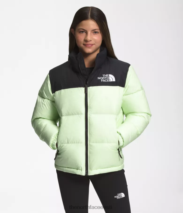 lapsed 1996 aasta retro nuptse jope The North Face VJRZH908 Riietus laimi kreem