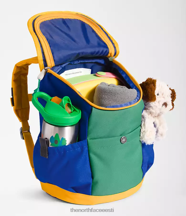 lapsed noorte mini explorer seljakott The North Face VJRZH395 tarvik tnf punane / sügav rohi roheline / tnf sinine