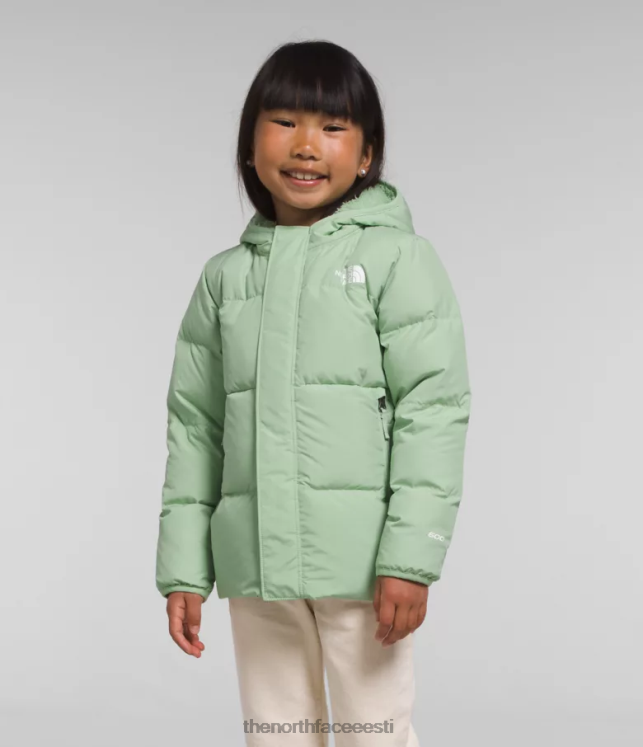 lapsed põhjapoolse kapuutsiga jope The North Face VJRZH864 Riietus udune salvei