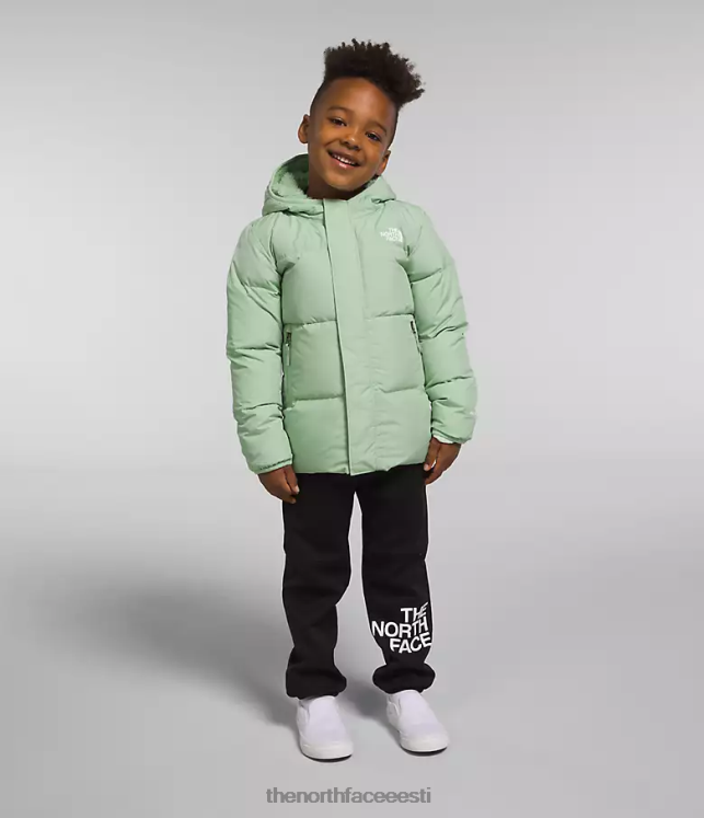 lapsed põhjapoolse kapuutsiga jope The North Face VJRZH864 Riietus udune salvei