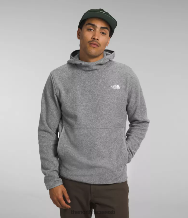 mehed alpine polartec 100 pullover The North Face VJRZH117 Riietus tnf keskmine hall kanarbik