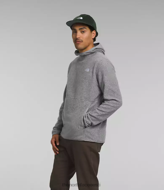 mehed alpine polartec 100 pullover The North Face VJRZH117 Riietus tnf keskmine hall kanarbik