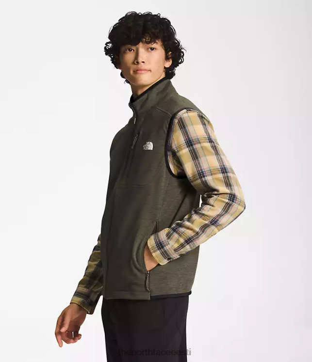 mehed canyonlandsi vest The North Face VJRZH98 Riietus uus taupe roheline kanarbik