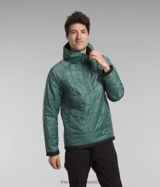 mehed circaloft-tõmblukuga pullover The North Face VJRZH767 Riietus tume salvei/tnf must