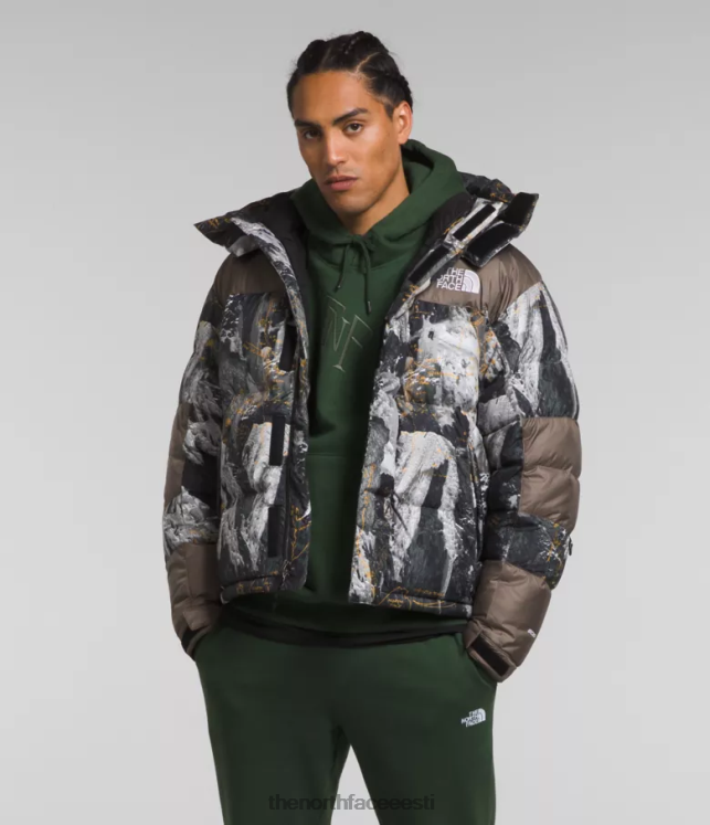 mehed hmlyn baltoro jope The North Face VJRZH1004 Riietus tipp kuld/tnf must