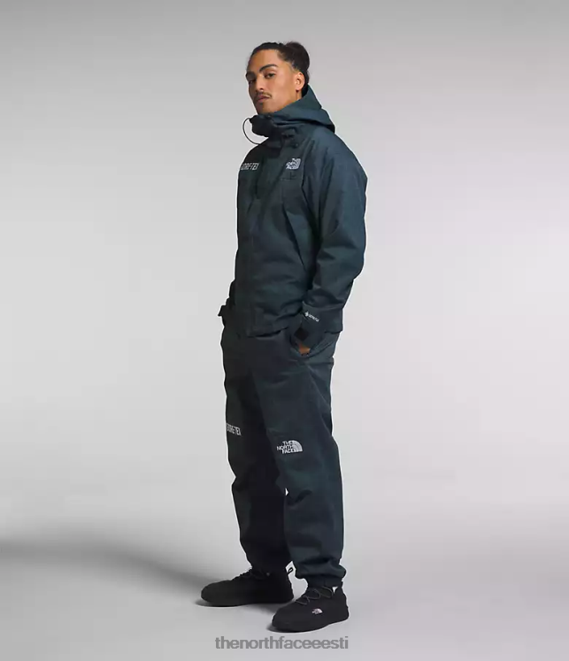 mehed gtx mägi jope The North Face VJRZH542 Riietus denim sinine/tnf must