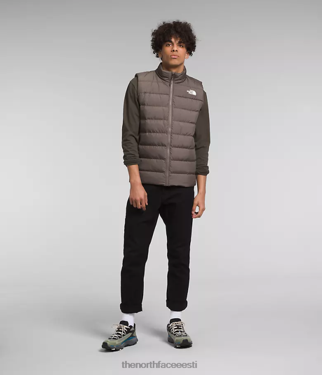 mehed aconcagua 3 vest The North Face VJRZH992 Riietus pistriku pruun