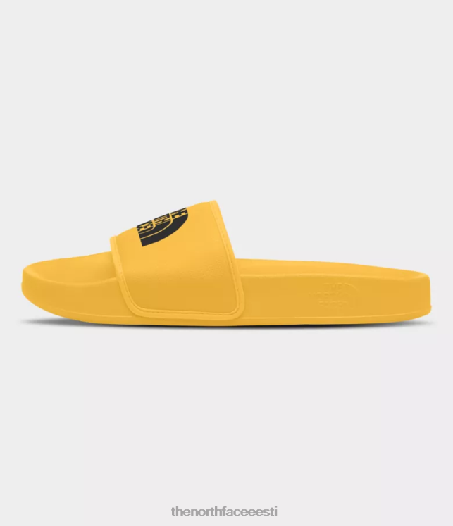mehed baaslaagri slaidid iii The North Face VJRZH32 jalatsid tipp kuld/tnf must