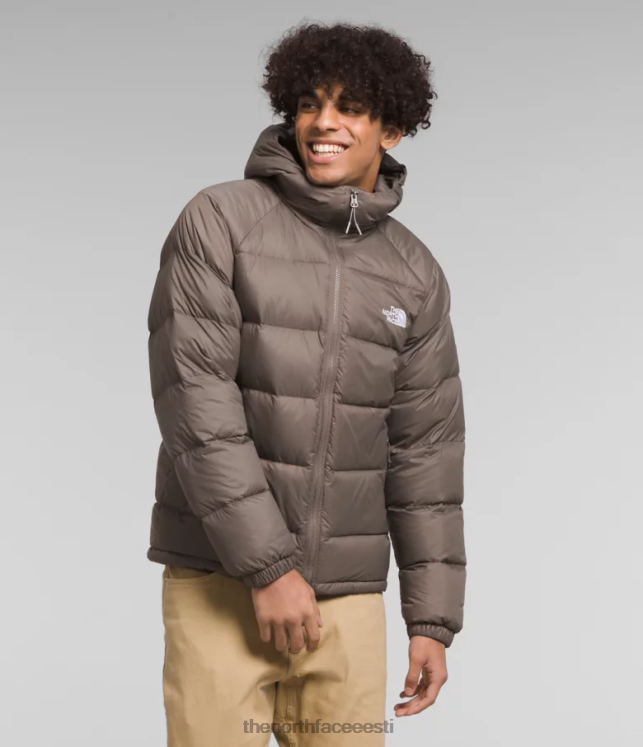 mehed hüdrenaliidist udusulgedest kapuuts The North Face VJRZH642 Riietus pistriku pruun