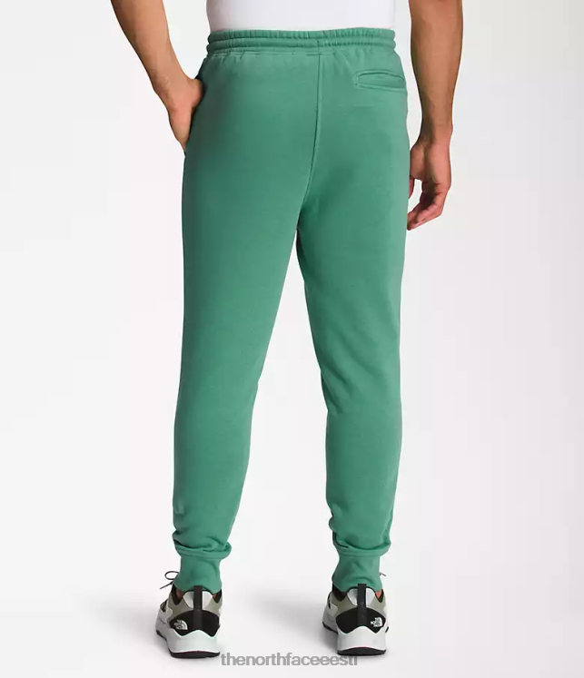 mehed kasti nse jooksjad The North Face VJRZH1041 Riietus sügav rohi roheline/tnf must