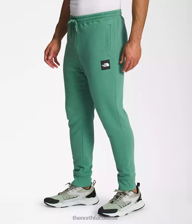 mehed kasti nse jooksjad The North Face VJRZH1041 Riietus sügav rohi roheline/tnf must