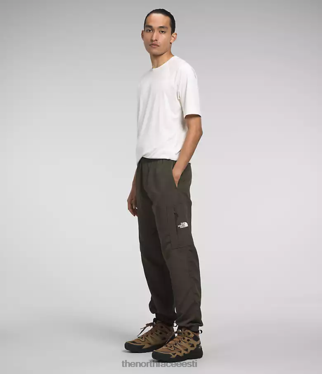 mehed tnf nailonist lihtsad püksid The North Face VJRZH490 Riietus uus taupe roheline