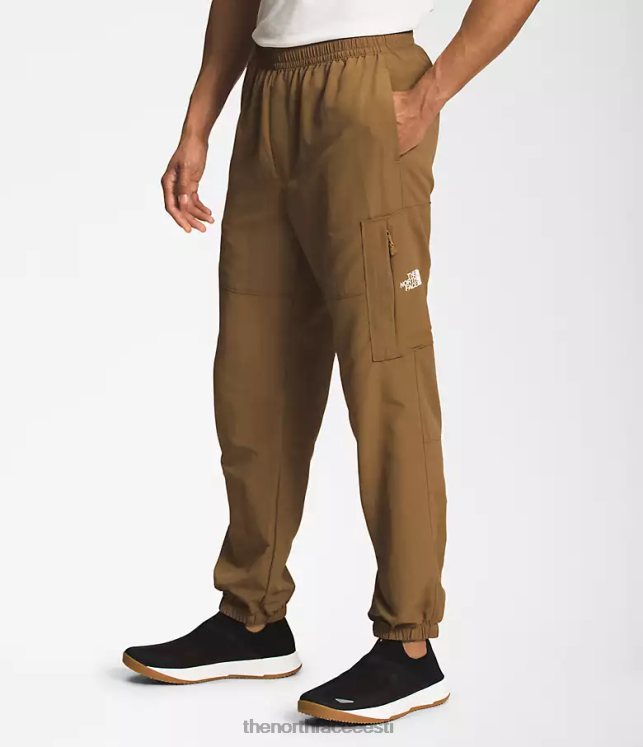 mehed tnf nailonist lihtsad püksid The North Face VJRZH493 Riietus tarbepruun