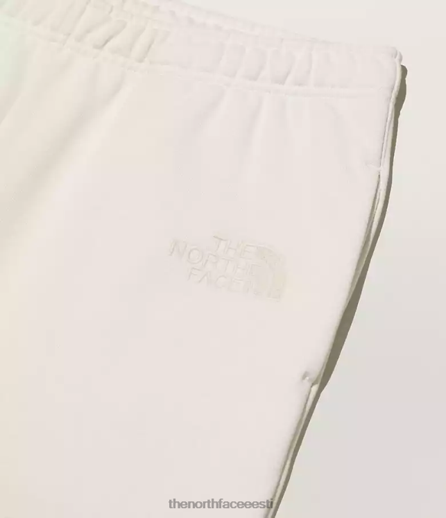 mehed tnf x kaws dressipüksid The North Face VJRZH551 Riietus kuuvalgus elevandiluu
