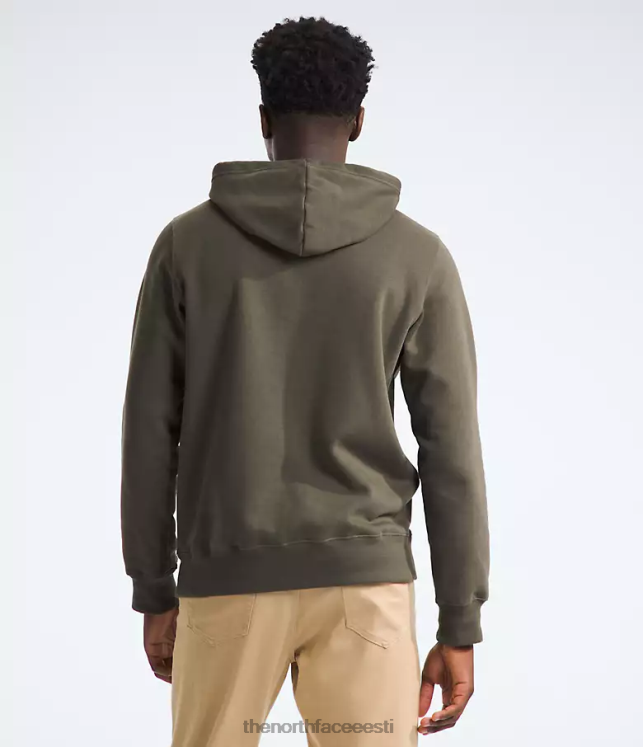 mehed poolkupliga pullover-hoodie The North Face VJRZH113 Riietus uus taupe roheline