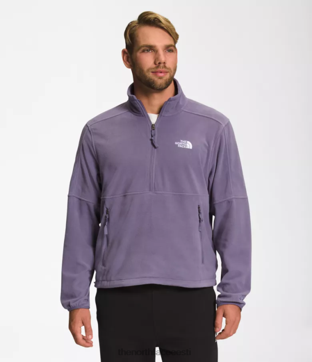mehed tnf polartec 100 -zip The North Face VJRZH301 Riietus kuu kiltkivi