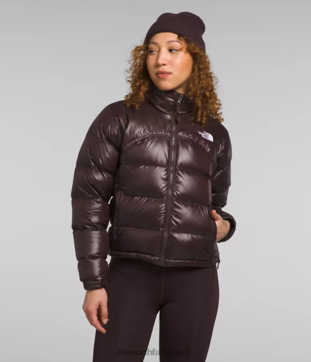 naised 2000 retro nuptse jope The North Face VJRZH804 Riietus kivisöepruun