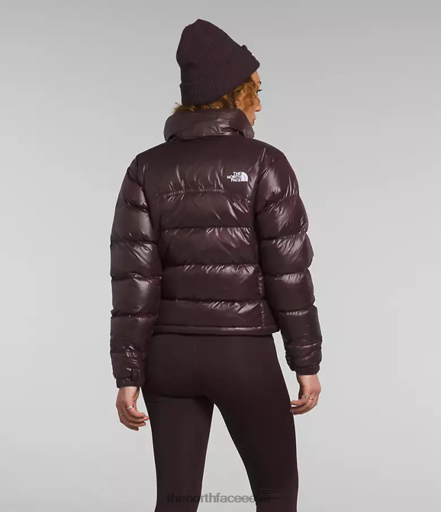naised 2000 retro nuptse jope The North Face VJRZH804 Riietus kivisöepruun