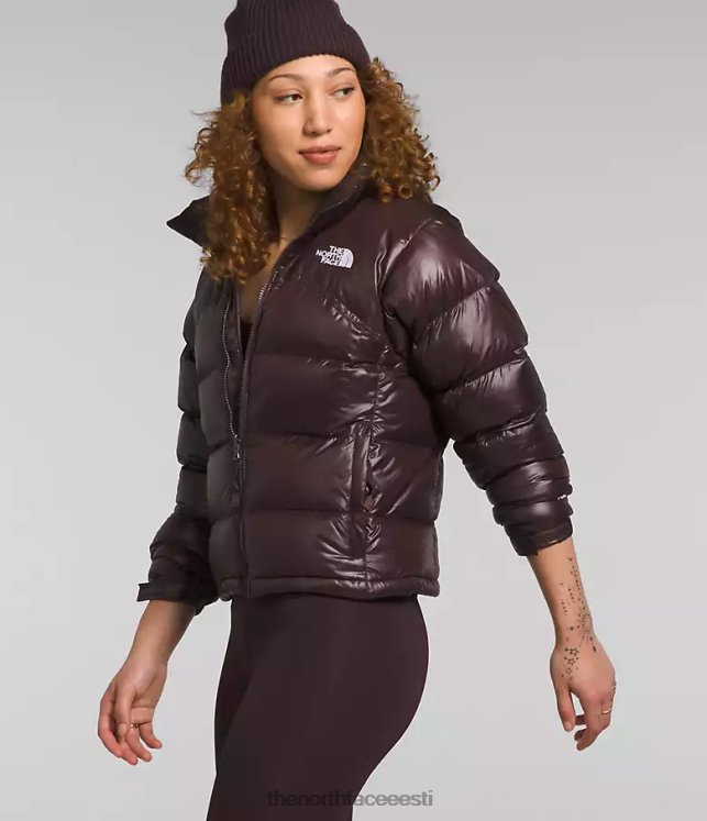 naised 2000 retro nuptse jope The North Face VJRZH804 Riietus kivisöepruun