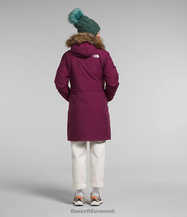 naised arktiline park The North Face VJRZH509 Riietus boysenberry