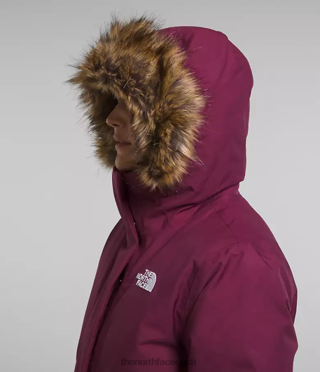 naised arktiline park The North Face VJRZH509 Riietus boysenberry