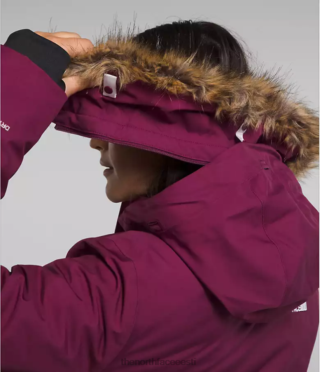 naised arktiline park The North Face VJRZH509 Riietus boysenberry