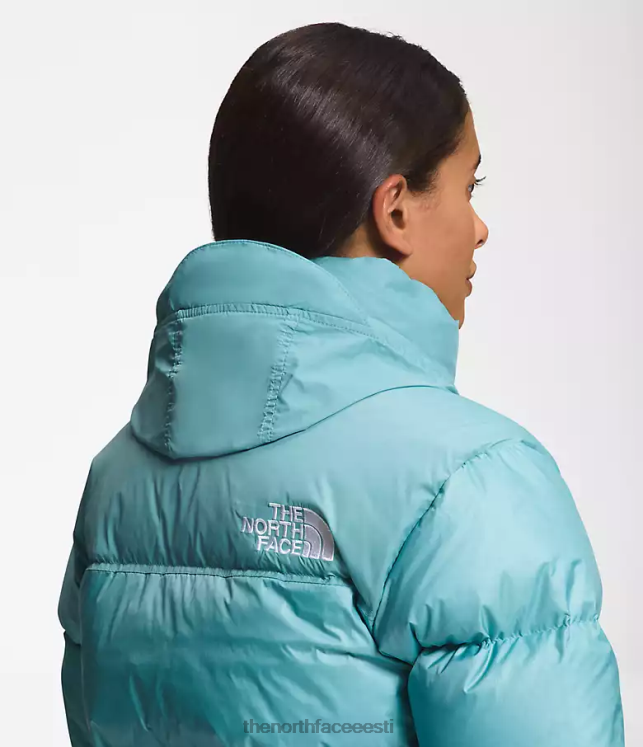 naised 1996 aasta retro nuptse jope The North Face VJRZH730 Riietus riffide veed