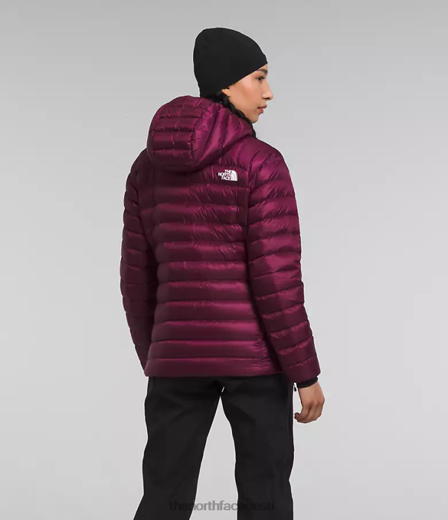 naised summit seeria Breithorn kapuuts The North Face VJRZH668 Riietus boysenberry