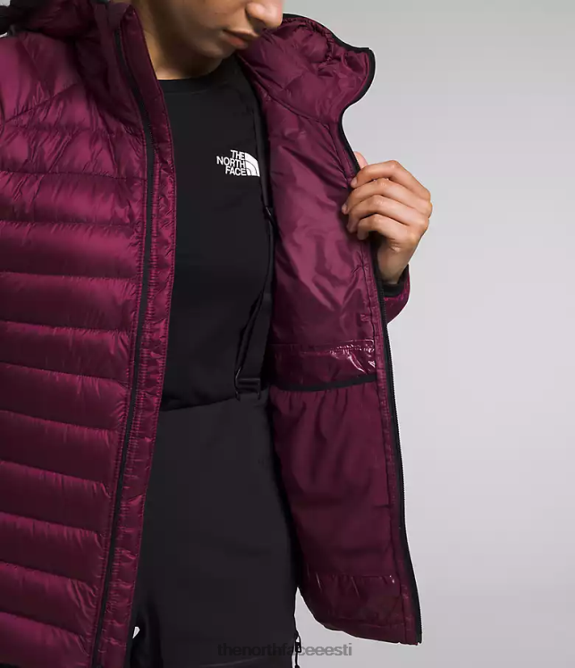 naised summit seeria Breithorn kapuuts The North Face VJRZH668 Riietus boysenberry