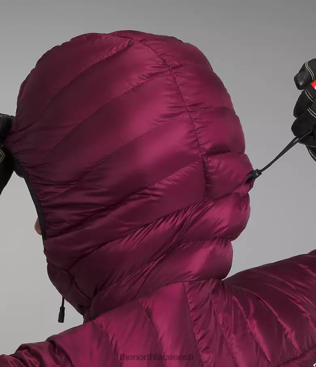 naised summit seeria Breithorn kapuuts The North Face VJRZH668 Riietus boysenberry