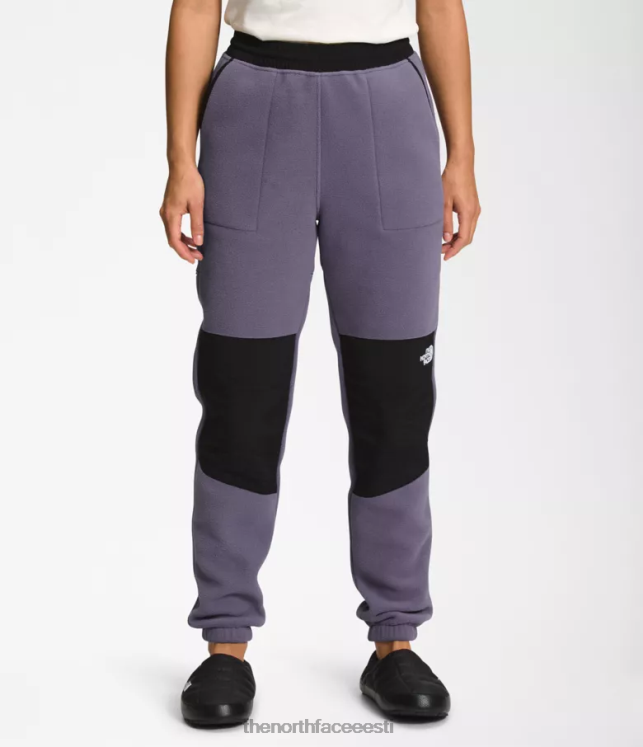naised denali püksid The North Face VJRZH943 Riietus kuu kiltkivi