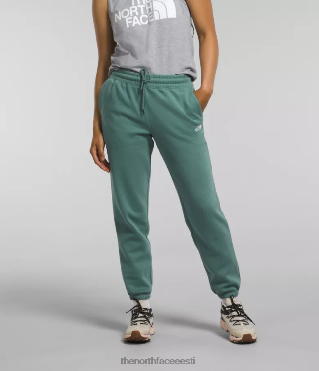 naised poolkupliga fliisist dressipüksid The North Face VJRZH976 Riietus tume salvei/tnf valge
