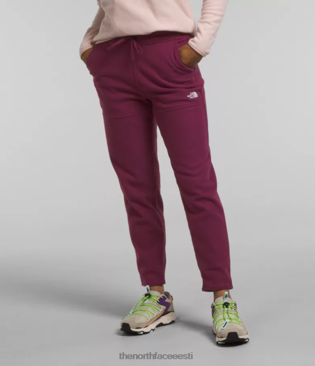 naised alpine polartec 100 püksid The North Face VJRZH846 Riietus boysenberry