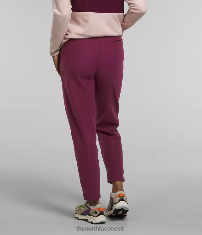 naised alpine polartec 100 püksid The North Face VJRZH846 Riietus boysenberry