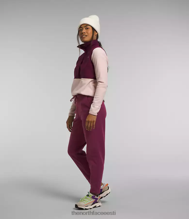 naised alpine polartec 100 püksid The North Face VJRZH846 Riietus boysenberry
