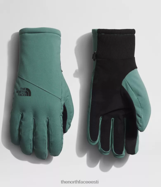 naised shelbe raschel etip kindad The North Face VJRZH861 tarvik tume salvei